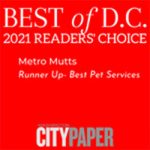 Best of DC 2021