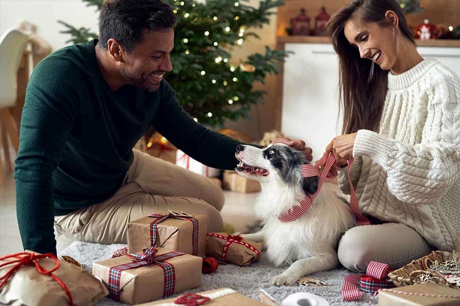 Be Mindful of Your Holiday Tree and the Decorations that Adorn it