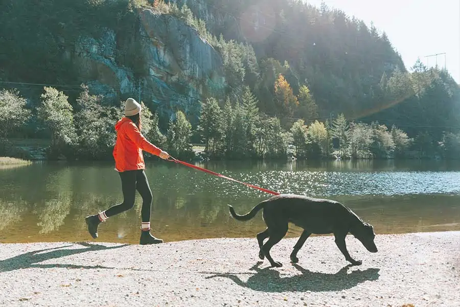5 Ways to Get Fit This Year with Your Dog