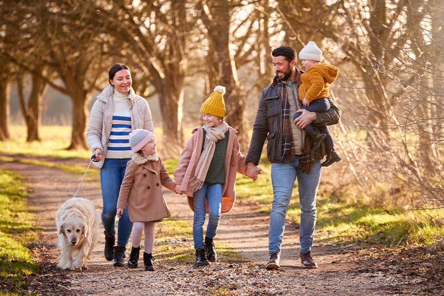 Preparing Your Dog for Cooler Weather: Fall Tips for Washington DC Pups - Dog Walking