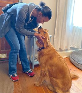 Paws and Reflect: Celebrating Professional Pet Sitters Week - Dog Walking and Pet Sitting Washington, DC