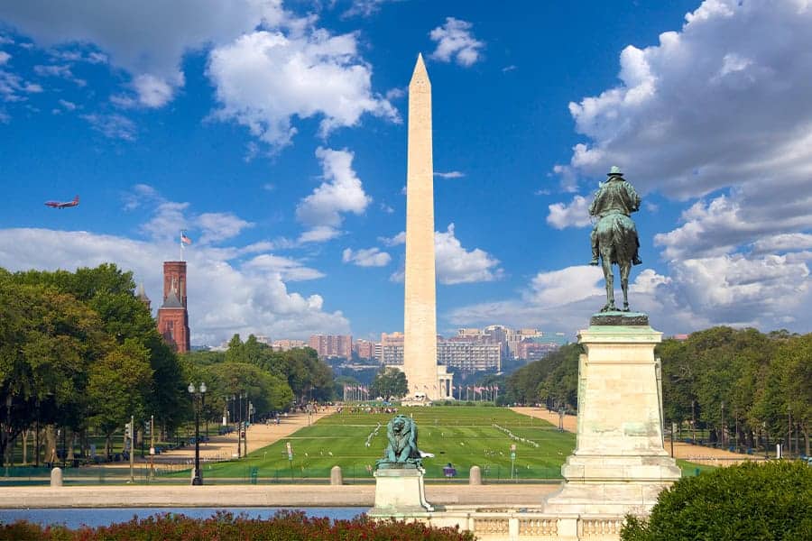 Fun and Safe Summer Activities with Your Dog in Washington, DC