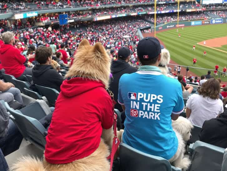 2. Pups in the Park Top Ten Dog-Friendly Events around Washington, DC in 2025