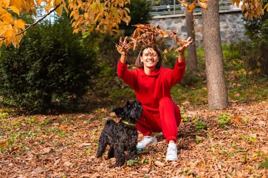 Fun Things to Do This Fall with Your Dog in Washington, DC