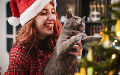Fun Ways to Include Your Pet in DC Holiday Festivities