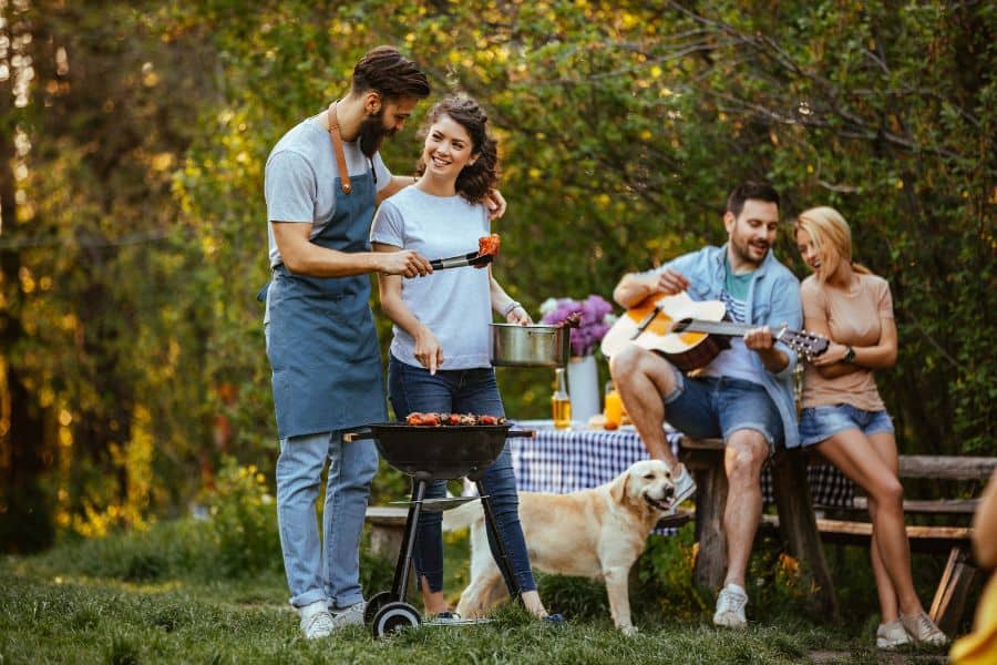 Weather Holiday Pet Safety Tips for DC Pet Parents